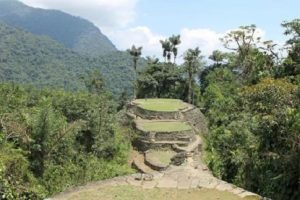 selva selva