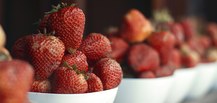UNEATLANTICO participó en un estudio de los beneficios del consumo de un extracto de fresas en relación con el Alzheimer