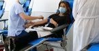 donacion-sangre-portada