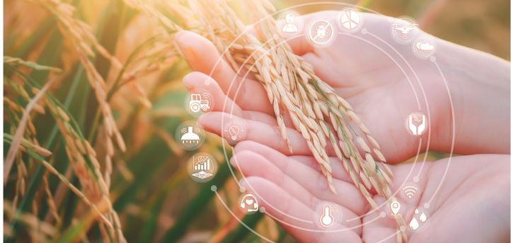UNEATLANTICO diseña un sistema inteligente para monitorear el clima en el campo agrícola