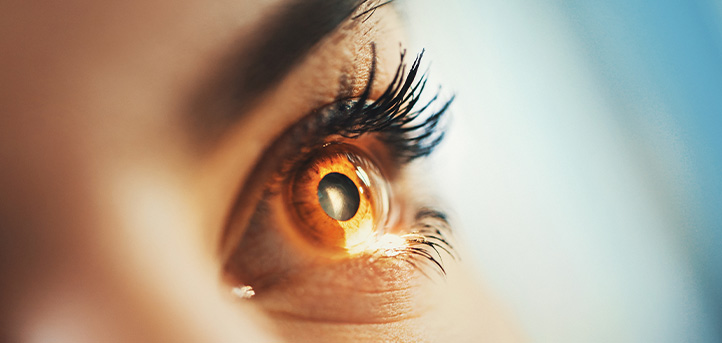 UNEATLANTICO colabora en un estudio sobre la detección de la retinitis pigmentosa mediante el aprendizaje profundo