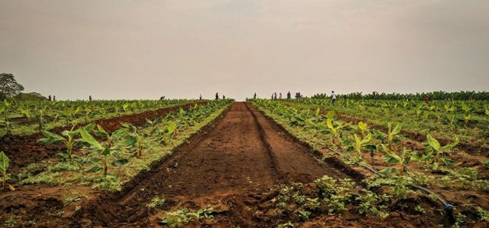 El proyecto MAHINE, liderado por UNEATLANTICO, inicia el desarrollo de pacientes virtuales para mejorar la educación nutricional en Angola