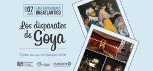 portadagoyacomonuncatopokdef